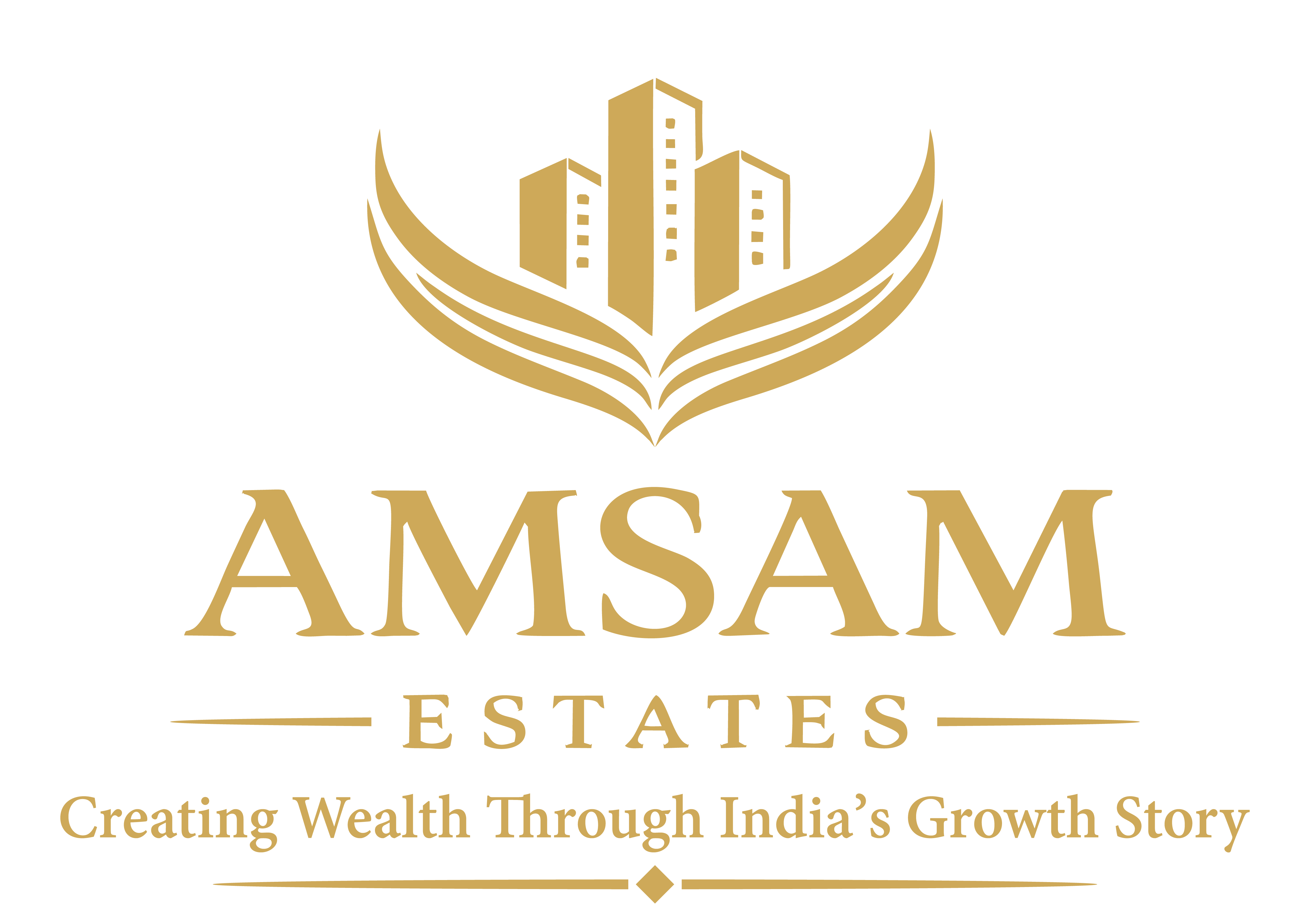 AMSAM Logo